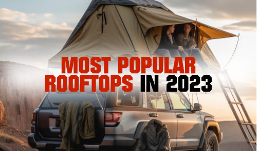 What are the Most Popular Rooftops in 2023?